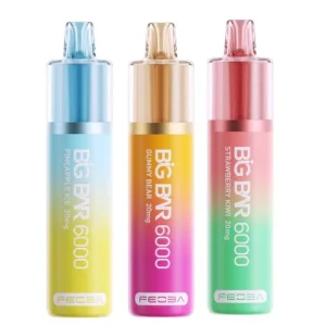 Feoba Big Bar 6000 Kit (5pcs/pack)