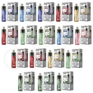 Feoba Pro 6000 Vape Kit