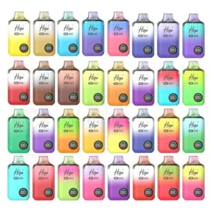 Higo BB 4000 Vape Kit