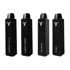 IGNITE V600 Kit 600 Puffs