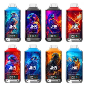 JNR Falcon X 18000 Kit (10pcs/pack)