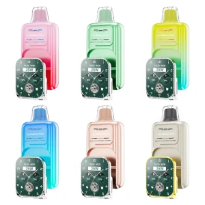 JNR VapeWatch Removable Screen 30K Kit