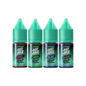 Just Juice Mint Nicotine Salt E-liquid 10ml