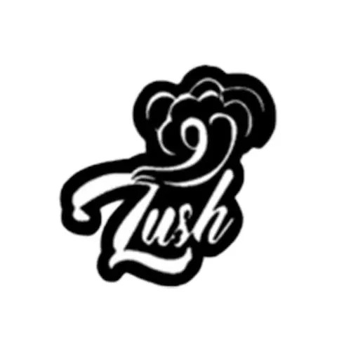 Lush 1500 Strawberry Watermelon Disposable Vape Pen