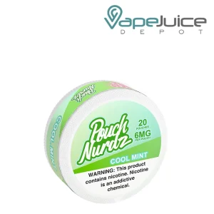 Pouch Nurdz Cool Mint Nicotine Pouches