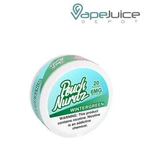 Pouch Nurdz Wintergreen Nicotine Pouches