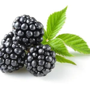 Blackberry