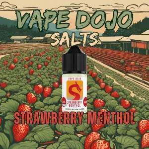 Vape Dojo Salts – Strawberry Menthol Salts
