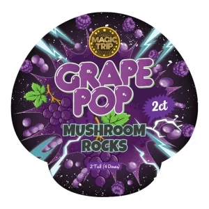 Magic Trip Mushroom Rocks