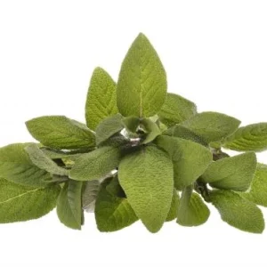 Goloka - Sage Natural & Undiluted Essential Oil 10ml