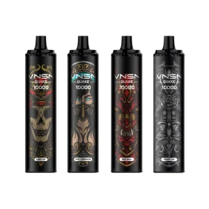 VNSN QUAKE 10000 Kit (10pcs/pack)