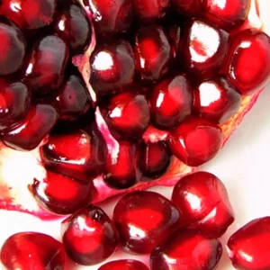 Pomegranate