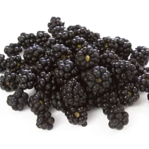 Boysenberry