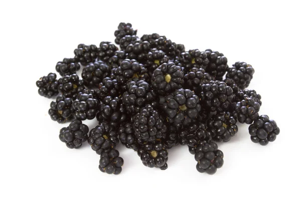 Boysenberry