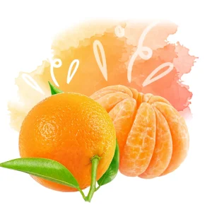Tangerine – DIY Flavor Concentrate – Veist