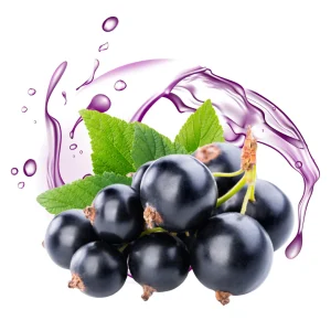 Black Currant – DIY Flavor Concentrate – Veist