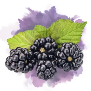 Blackberry – DIY Flavor Concentrate – Veist