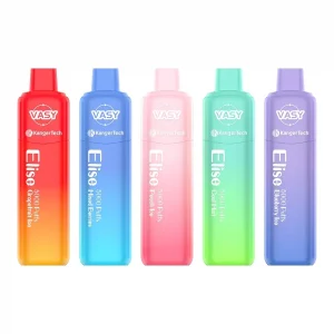 VASY Elise 5000 Vape Kit