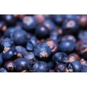 Huckleberry
