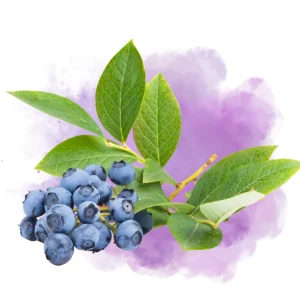 Huckleberry – DIY Flavor Concentrate – Veist