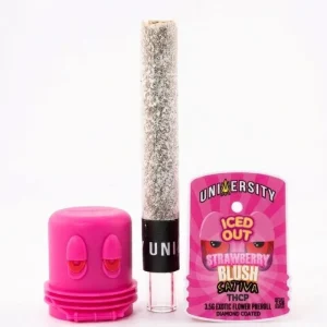 University THC-P Iced Out Pre Rolls 3.5G