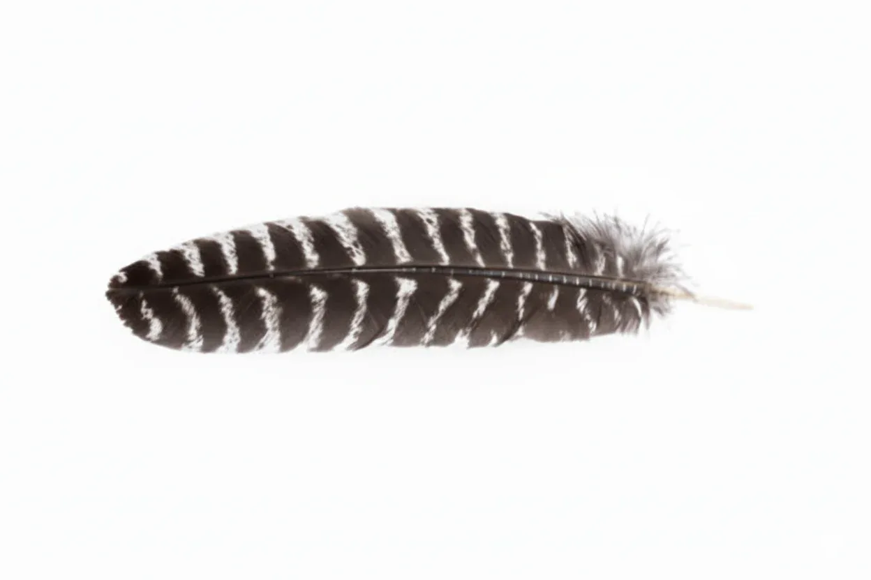 Smudge Feather Turkey 10"-12"