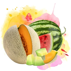 Melon Burst – DIY Flavor Concentrate – Veist