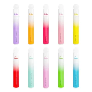 Flumlite Kit 600 Puffs
