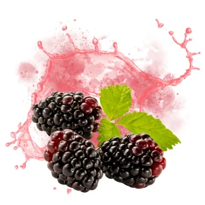 Boysenberry – DIY Flavor Concentrate – Veist