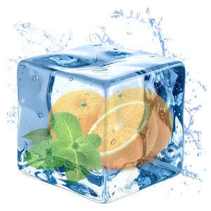 Orange Menthol – DIY Flavor Concentrate – Veist