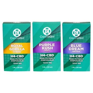 CannaAid 1000mg H4 CBD Kit