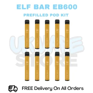 Snow Tobacco ELF Bar EB600 Box Of 10