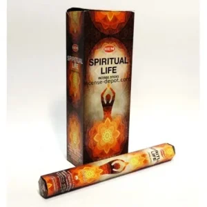 HEM Spiritual Life 9″ Incense Sticks – Hex Box (20g)