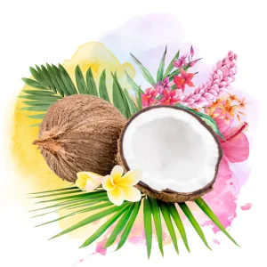 Coconut – DIY Flavor Concentrate – Veist