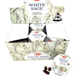 HEM Backflow Cones - White Sage Backflow Incense 40 Cones