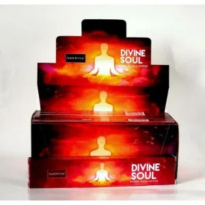 Nandita - Divine Soul Incense Natural & Organic Hand-rolled Masala Incense Sticks 15g
