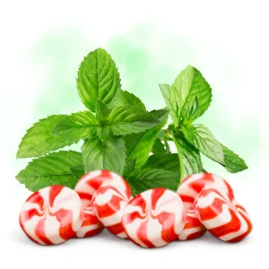 Freshen Up – DIY Flavor Concentrate – Veist