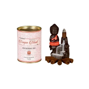 Goloka Backflow Cones - Dragon's Blood Masala Backflow Incense 24 Cones