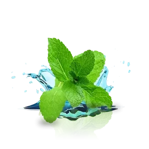 Menthol Tobacco