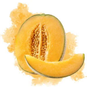 Cantaloupe – DIY Flavor Concentrate – Veist