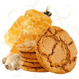Ginger Cookie – DIY Flavor Concentrate – Veist