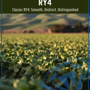 RY4
