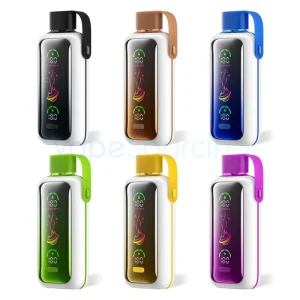 Vozol Star 20000 Kit