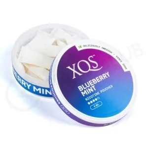 XQS Blueberry Mint Nicotine Pouches